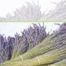 킴스치과의원 이미지