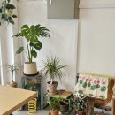 봉방2길 21, (봉방동) | 충주 식물 카페 나만 알고 싶은 작은 정원 봉방동 잔풀