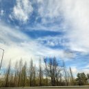 청호제하늘 | 산청 시장 단계전통시장, 산청시장 | 오일장 정보 장날 분위기 후기