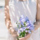 점촌중앙초등학교 이미지