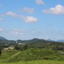 함안 말이산고분군 이미지