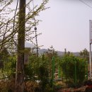 김진호농장 이미지