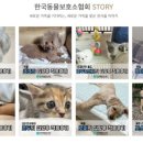한국동물보호소협회 네이버블로그