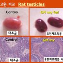 아무도 모르는 충격적인 이야기 이미지