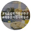 송절2구 | 겨울방학 가볼만한곳 계룡산자연사박물관(올해의관광도시, 공주명소, 공주여행)
