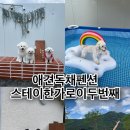 스테이한가로이 이미지