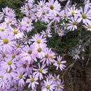 금용농장 이미지