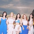 나인 스포츠경향