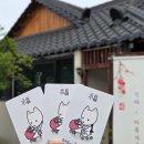 보물섬 | [국내] 경주 황리단길 기념품샵 BEST 8 총정리 (직접 방문, 실패 없는 곳)