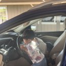 만리카서비스 | [공지] 하와이 중고차 구입부터 판매까지 13개월간의 이야기