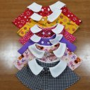 문화애견 이미지