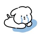 메디로직스 이미지