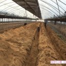 여주-0678 이미지