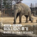 여우목벨리민박 | 에버랜드 로스트밸리 워킹사파리 후기 대기시간