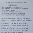 스니스니 이미지