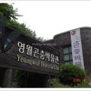 영월곤충박물관 이미지