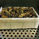 금양수산 이미지