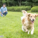 고촌동물병원 이미지