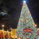 크리스마스 느낌 낭낭한 여수 라테라스 윈터빌리지🎄🎅🏻