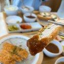 4759 | 대전 유천동 돈까스 맛집 정성카츠