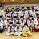 용인대 청무태권도 체육관 이미지