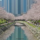 동삼3동-9 이미지