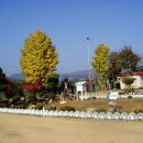 길안초등학교 이미지