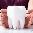 미니쉬치과기공소 이미지