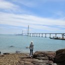 10/17~18/섬티아고 12사도 예배당 순례길과 맨드라미 퍼플섬 아스타국화 이미지