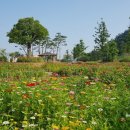 삼학도 중앙공원 이미지