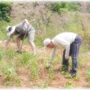 박영석농장 이미지