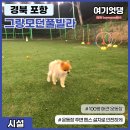 그랑모던풀빌라 이미지