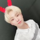 주라울 이미지