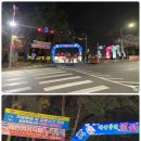 배산 벚꽃 축제