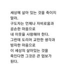 시절인연 이미지