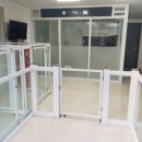 플라잉독 이미지