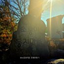 둥지축산 | 가평 초롱이 둥지마을 국유림 상생포럼 방문기