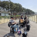장경리해변 Daum카페