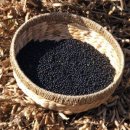 정주농장 이미지