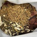 본초약업사 이미지