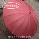 라이즈원 장우산 데일리로 딱 좋아요! 카렌툴라오렌지 컬러 후기