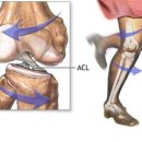 트레이닝론 이미지