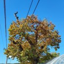 스테이333 이미지