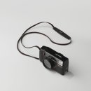 도도 Grooming 이미지