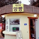 대관령양빵양빵양빵 이미지