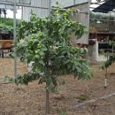 웅희농장 이미지