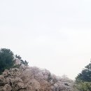 수양 이미지