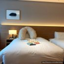 유파크홀딩스(주) | 국내 태교여행의 성지, 정선 파크로쉬🌳(놀거리&amp;꿀팁)