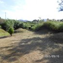 이평면사무소 이미지