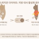 건강한 콩팥 유지하기 | 스위치온 다이어트 완벽 가이드: 지방 대사를 켜는 4주 프로그램 (2025년 최신)